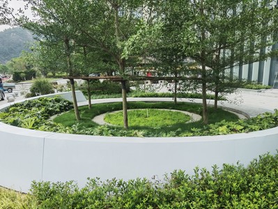 树池的作用与设计要点