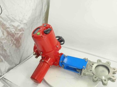 电动不锈钢闸阀：合力自动化引领新时代的控制技术