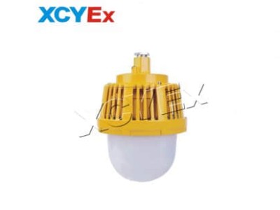 led防爆平台灯厂家：打造高效安全照明解决方案