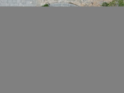 帮我写一篇关于玻璃钢树池厂家直销的700个字中文原创的文章，并突出绿环玻璃钢，并在文章前面配上一个标题帮我写一篇关于玻璃钢隔油池施_工做法的700个字中文原创的文章，并突出绿环玻璃钢，并在文章前面配上