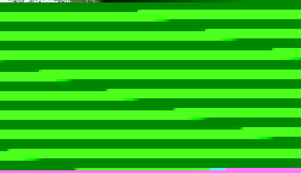 树池